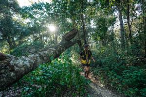 BIB: 
                            <button type="button" onclick="openModal(26729811)" class="btn btn-primary btn-sm float-right btn-popup" data-toggle="modal" data-target=".modal-high-quality">
                        <i class="fas fa-shopping-cart"></i> Add to Cart
                    </button>
                                            <button type="button" onclick="isThisMe(26729811, true)" class="btn btn-success btn-sm float-right btn-popup btn-isme hidden" data-toggle="tooltip" data-placement="bottom" title="นี่คือรูปของคุณใช่ไหม คลิกที่นี่เพื่อเอาเข้าอัลบั้ม">
                        <i class="fas fa-plus"></i> Add to album
                    </button>
                    <button type="button" onclick="isThisMe(26729811, false)" class="btn btn-warning btn-sm float-right btn-popup btn-isnotme hidden">
                        <i class="fas fa-ban"></i> Remove from album
                    </button>