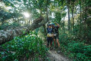 BIB: 
                            <button type="button" onclick="openModal(26729772)" class="btn btn-primary btn-sm float-right btn-popup" data-toggle="modal" data-target=".modal-high-quality">
                        <i class="fas fa-shopping-cart"></i> Add to Cart
                    </button>
                                            <button type="button" onclick="isThisMe(26729772, true)" class="btn btn-success btn-sm float-right btn-popup btn-isme hidden" data-toggle="tooltip" data-placement="bottom" title="นี่คือรูปของคุณใช่ไหม คลิกที่นี่เพื่อเอาเข้าอัลบั้ม">
                        <i class="fas fa-plus"></i> Add to album
                    </button>
                    <button type="button" onclick="isThisMe(26729772, false)" class="btn btn-warning btn-sm float-right btn-popup btn-isnotme hidden">
                        <i class="fas fa-ban"></i> Remove from album
                    </button>