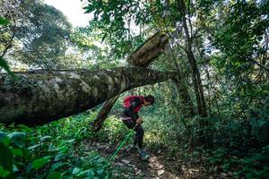 BIB: 
                            <button type="button" onclick="openModal(26729118)" class="btn btn-primary btn-sm float-right btn-popup" data-toggle="modal" data-target=".modal-high-quality">
                        <i class="fas fa-shopping-cart"></i> Add to Cart
                    </button>
                                            <button type="button" onclick="isThisMe(26729118, true)" class="btn btn-success btn-sm float-right btn-popup btn-isme hidden" data-toggle="tooltip" data-placement="bottom" title="นี่คือรูปของคุณใช่ไหม คลิกที่นี่เพื่อเอาเข้าอัลบั้ม">
                        <i class="fas fa-plus"></i> Add to album
                    </button>
                    <button type="button" onclick="isThisMe(26729118, false)" class="btn btn-warning btn-sm float-right btn-popup btn-isnotme hidden">
                        <i class="fas fa-ban"></i> Remove from album
                    </button>