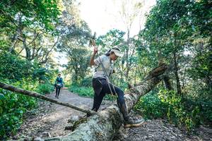 BIB: 
                            <button type="button" onclick="openModal(26729540)" class="btn btn-primary btn-sm float-right btn-popup" data-toggle="modal" data-target=".modal-high-quality">
                        <i class="fas fa-shopping-cart"></i> Add to Cart
                    </button>
                                            <button type="button" onclick="isThisMe(26729540, true)" class="btn btn-success btn-sm float-right btn-popup btn-isme hidden" data-toggle="tooltip" data-placement="bottom" title="นี่คือรูปของคุณใช่ไหม คลิกที่นี่เพื่อเอาเข้าอัลบั้ม">
                        <i class="fas fa-plus"></i> Add to album
                    </button>
                    <button type="button" onclick="isThisMe(26729540, false)" class="btn btn-warning btn-sm float-right btn-popup btn-isnotme hidden">
                        <i class="fas fa-ban"></i> Remove from album
                    </button>