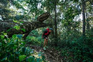 BIB: 
                            <button type="button" onclick="openModal(26729365)" class="btn btn-primary btn-sm float-right btn-popup" data-toggle="modal" data-target=".modal-high-quality">
                        <i class="fas fa-shopping-cart"></i> Add to Cart
                    </button>
                                            <button type="button" onclick="isThisMe(26729365, true)" class="btn btn-success btn-sm float-right btn-popup btn-isme hidden" data-toggle="tooltip" data-placement="bottom" title="นี่คือรูปของคุณใช่ไหม คลิกที่นี่เพื่อเอาเข้าอัลบั้ม">
                        <i class="fas fa-plus"></i> Add to album
                    </button>
                    <button type="button" onclick="isThisMe(26729365, false)" class="btn btn-warning btn-sm float-right btn-popup btn-isnotme hidden">
                        <i class="fas fa-ban"></i> Remove from album
                    </button>