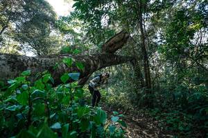 BIB: 
                            <button type="button" onclick="openModal(26729303)" class="btn btn-primary btn-sm float-right btn-popup" data-toggle="modal" data-target=".modal-high-quality">
                        <i class="fas fa-shopping-cart"></i> Add to Cart
                    </button>
                                            <button type="button" onclick="isThisMe(26729303, true)" class="btn btn-success btn-sm float-right btn-popup btn-isme hidden" data-toggle="tooltip" data-placement="bottom" title="นี่คือรูปของคุณใช่ไหม คลิกที่นี่เพื่อเอาเข้าอัลบั้ม">
                        <i class="fas fa-plus"></i> Add to album
                    </button>
                    <button type="button" onclick="isThisMe(26729303, false)" class="btn btn-warning btn-sm float-right btn-popup btn-isnotme hidden">
                        <i class="fas fa-ban"></i> Remove from album
                    </button>