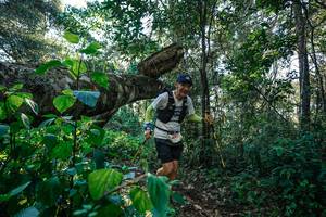 BIB: 
                            <button type="button" onclick="openModal(26729407)" class="btn btn-primary btn-sm float-right btn-popup" data-toggle="modal" data-target=".modal-high-quality">
                        <i class="fas fa-shopping-cart"></i> Add to Cart
                    </button>
                                            <button type="button" onclick="isThisMe(26729407, true)" class="btn btn-success btn-sm float-right btn-popup btn-isme hidden" data-toggle="tooltip" data-placement="bottom" title="นี่คือรูปของคุณใช่ไหม คลิกที่นี่เพื่อเอาเข้าอัลบั้ม">
                        <i class="fas fa-plus"></i> Add to album
                    </button>
                    <button type="button" onclick="isThisMe(26729407, false)" class="btn btn-warning btn-sm float-right btn-popup btn-isnotme hidden">
                        <i class="fas fa-ban"></i> Remove from album
                    </button>