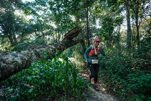 BIB: 
                            <button type="button" onclick="openModal(26729799)" class="btn btn-primary btn-sm float-right btn-popup" data-toggle="modal" data-target=".modal-high-quality">
                        <i class="fas fa-shopping-cart"></i> Add to Cart
                    </button>
                                            <button type="button" onclick="isThisMe(26729799, true)" class="btn btn-success btn-sm float-right btn-popup btn-isme hidden" data-toggle="tooltip" data-placement="bottom" title="นี่คือรูปของคุณใช่ไหม คลิกที่นี่เพื่อเอาเข้าอัลบั้ม">
                        <i class="fas fa-plus"></i> Add to album
                    </button>
                    <button type="button" onclick="isThisMe(26729799, false)" class="btn btn-warning btn-sm float-right btn-popup btn-isnotme hidden">
                        <i class="fas fa-ban"></i> Remove from album
                    </button>