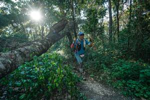 BIB: 
                            <button type="button" onclick="openModal(26729745)" class="btn btn-primary btn-sm float-right btn-popup" data-toggle="modal" data-target=".modal-high-quality">
                        <i class="fas fa-shopping-cart"></i> Add to Cart
                    </button>
                                            <button type="button" onclick="isThisMe(26729745, true)" class="btn btn-success btn-sm float-right btn-popup btn-isme hidden" data-toggle="tooltip" data-placement="bottom" title="นี่คือรูปของคุณใช่ไหม คลิกที่นี่เพื่อเอาเข้าอัลบั้ม">
                        <i class="fas fa-plus"></i> Add to album
                    </button>
                    <button type="button" onclick="isThisMe(26729745, false)" class="btn btn-warning btn-sm float-right btn-popup btn-isnotme hidden">
                        <i class="fas fa-ban"></i> Remove from album
                    </button>