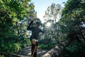 BIB: 
                            <button type="button" onclick="openModal(26729044)" class="btn btn-primary btn-sm float-right btn-popup" data-toggle="modal" data-target=".modal-high-quality">
                        <i class="fas fa-shopping-cart"></i> Add to Cart
                    </button>
                                            <button type="button" onclick="isThisMe(26729044, true)" class="btn btn-success btn-sm float-right btn-popup btn-isme hidden" data-toggle="tooltip" data-placement="bottom" title="นี่คือรูปของคุณใช่ไหม คลิกที่นี่เพื่อเอาเข้าอัลบั้ม">
                        <i class="fas fa-plus"></i> Add to album
                    </button>
                    <button type="button" onclick="isThisMe(26729044, false)" class="btn btn-warning btn-sm float-right btn-popup btn-isnotme hidden">
                        <i class="fas fa-ban"></i> Remove from album
                    </button>