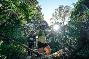 BIB: 
                            <button type="button" onclick="openModal(26728910)" class="btn btn-primary btn-sm float-right btn-popup" data-toggle="modal" data-target=".modal-high-quality">
                        <i class="fas fa-shopping-cart"></i> Add to Cart
                    </button>
                                            <button type="button" onclick="isThisMe(26728910, true)" class="btn btn-success btn-sm float-right btn-popup btn-isme hidden" data-toggle="tooltip" data-placement="bottom" title="นี่คือรูปของคุณใช่ไหม คลิกที่นี่เพื่อเอาเข้าอัลบั้ม">
                        <i class="fas fa-plus"></i> Add to album
                    </button>
                    <button type="button" onclick="isThisMe(26728910, false)" class="btn btn-warning btn-sm float-right btn-popup btn-isnotme hidden">
                        <i class="fas fa-ban"></i> Remove from album
                    </button>