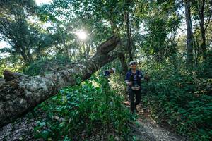 BIB: 
                            <button type="button" onclick="openModal(26729788)" class="btn btn-primary btn-sm float-right btn-popup" data-toggle="modal" data-target=".modal-high-quality">
                        <i class="fas fa-shopping-cart"></i> Add to Cart
                    </button>
                                            <button type="button" onclick="isThisMe(26729788, true)" class="btn btn-success btn-sm float-right btn-popup btn-isme hidden" data-toggle="tooltip" data-placement="bottom" title="นี่คือรูปของคุณใช่ไหม คลิกที่นี่เพื่อเอาเข้าอัลบั้ม">
                        <i class="fas fa-plus"></i> Add to album
                    </button>
                    <button type="button" onclick="isThisMe(26729788, false)" class="btn btn-warning btn-sm float-right btn-popup btn-isnotme hidden">
                        <i class="fas fa-ban"></i> Remove from album
                    </button>