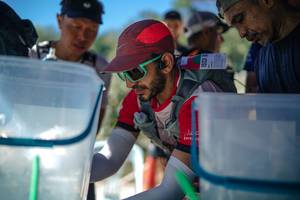 BIB: 
                            <button type="button" onclick="openModal(26725471)" class="btn btn-primary btn-sm float-right btn-popup" data-toggle="modal" data-target=".modal-high-quality">
                        <i class="fas fa-shopping-cart"></i> Add to Cart
                    </button>
                                            <button type="button" onclick="isThisMe(26725471, true)" class="btn btn-success btn-sm float-right btn-popup btn-isme hidden" data-toggle="tooltip" data-placement="bottom" title="นี่คือรูปของคุณใช่ไหม คลิกที่นี่เพื่อเอาเข้าอัลบั้ม">
                        <i class="fas fa-plus"></i> Add to album
                    </button>
                    <button type="button" onclick="isThisMe(26725471, false)" class="btn btn-warning btn-sm float-right btn-popup btn-isnotme hidden">
                        <i class="fas fa-ban"></i> Remove from album
                    </button>