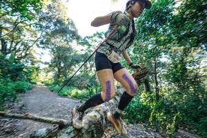 BIB: 
                            <button type="button" onclick="openModal(26729653)" class="btn btn-primary btn-sm float-right btn-popup" data-toggle="modal" data-target=".modal-high-quality">
                        <i class="fas fa-shopping-cart"></i> Add to Cart
                    </button>
                                            <button type="button" onclick="isThisMe(26729653, true)" class="btn btn-success btn-sm float-right btn-popup btn-isme hidden" data-toggle="tooltip" data-placement="bottom" title="นี่คือรูปของคุณใช่ไหม คลิกที่นี่เพื่อเอาเข้าอัลบั้ม">
                        <i class="fas fa-plus"></i> Add to album
                    </button>
                    <button type="button" onclick="isThisMe(26729653, false)" class="btn btn-warning btn-sm float-right btn-popup btn-isnotme hidden">
                        <i class="fas fa-ban"></i> Remove from album
                    </button>