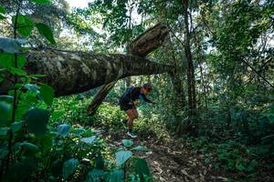 BIB: 
                            <button type="button" onclick="openModal(26729324)" class="btn btn-primary btn-sm float-right btn-popup" data-toggle="modal" data-target=".modal-high-quality">
                        <i class="fas fa-shopping-cart"></i> Add to Cart
                    </button>
                                            <button type="button" onclick="isThisMe(26729324, true)" class="btn btn-success btn-sm float-right btn-popup btn-isme hidden" data-toggle="tooltip" data-placement="bottom" title="นี่คือรูปของคุณใช่ไหม คลิกที่นี่เพื่อเอาเข้าอัลบั้ม">
                        <i class="fas fa-plus"></i> Add to album
                    </button>
                    <button type="button" onclick="isThisMe(26729324, false)" class="btn btn-warning btn-sm float-right btn-popup btn-isnotme hidden">
                        <i class="fas fa-ban"></i> Remove from album
                    </button>