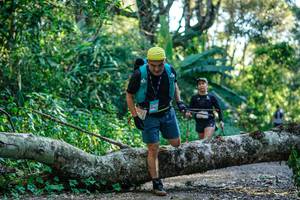 BIB: 
                            <button type="button" onclick="openModal(26712009)" class="btn btn-primary btn-sm float-right btn-popup" data-toggle="modal" data-target=".modal-high-quality">
                        <i class="fas fa-shopping-cart"></i> Add to Cart
                    </button>
                                            <button type="button" onclick="isThisMe(26712009, true)" class="btn btn-success btn-sm float-right btn-popup btn-isme hidden" data-toggle="tooltip" data-placement="bottom" title="นี่คือรูปของคุณใช่ไหม คลิกที่นี่เพื่อเอาเข้าอัลบั้ม">
                        <i class="fas fa-plus"></i> Add to album
                    </button>
                    <button type="button" onclick="isThisMe(26712009, false)" class="btn btn-warning btn-sm float-right btn-popup btn-isnotme hidden">
                        <i class="fas fa-ban"></i> Remove from album
                    </button>