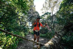 BIB: 
                            <button type="button" onclick="openModal(26729149)" class="btn btn-primary btn-sm float-right btn-popup" data-toggle="modal" data-target=".modal-high-quality">
                        <i class="fas fa-shopping-cart"></i> Add to Cart
                    </button>
                                            <button type="button" onclick="isThisMe(26729149, true)" class="btn btn-success btn-sm float-right btn-popup btn-isme hidden" data-toggle="tooltip" data-placement="bottom" title="นี่คือรูปของคุณใช่ไหม คลิกที่นี่เพื่อเอาเข้าอัลบั้ม">
                        <i class="fas fa-plus"></i> Add to album
                    </button>
                    <button type="button" onclick="isThisMe(26729149, false)" class="btn btn-warning btn-sm float-right btn-popup btn-isnotme hidden">
                        <i class="fas fa-ban"></i> Remove from album
                    </button>