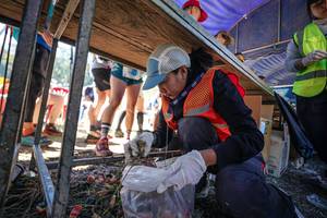 BIB: 
                            <button type="button" onclick="openModal(26727480)" class="btn btn-primary btn-sm float-right btn-popup" data-toggle="modal" data-target=".modal-high-quality">
                        <i class="fas fa-shopping-cart"></i> Add to Cart
                    </button>
                                            <button type="button" onclick="isThisMe(26727480, true)" class="btn btn-success btn-sm float-right btn-popup btn-isme hidden" data-toggle="tooltip" data-placement="bottom" title="นี่คือรูปของคุณใช่ไหม คลิกที่นี่เพื่อเอาเข้าอัลบั้ม">
                        <i class="fas fa-plus"></i> Add to album
                    </button>
                    <button type="button" onclick="isThisMe(26727480, false)" class="btn btn-warning btn-sm float-right btn-popup btn-isnotme hidden">
                        <i class="fas fa-ban"></i> Remove from album
                    </button>