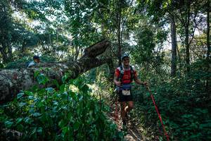 BIB: 
                            <button type="button" onclick="openModal(26729856)" class="btn btn-primary btn-sm float-right btn-popup" data-toggle="modal" data-target=".modal-high-quality">
                        <i class="fas fa-shopping-cart"></i> Add to Cart
                    </button>
                                            <button type="button" onclick="isThisMe(26729856, true)" class="btn btn-success btn-sm float-right btn-popup btn-isme hidden" data-toggle="tooltip" data-placement="bottom" title="นี่คือรูปของคุณใช่ไหม คลิกที่นี่เพื่อเอาเข้าอัลบั้ม">
                        <i class="fas fa-plus"></i> Add to album
                    </button>
                    <button type="button" onclick="isThisMe(26729856, false)" class="btn btn-warning btn-sm float-right btn-popup btn-isnotme hidden">
                        <i class="fas fa-ban"></i> Remove from album
                    </button>