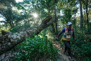 BIB: 
                            <button type="button" onclick="openModal(26729796)" class="btn btn-primary btn-sm float-right btn-popup" data-toggle="modal" data-target=".modal-high-quality">
                        <i class="fas fa-shopping-cart"></i> Add to Cart
                    </button>
                                            <button type="button" onclick="isThisMe(26729796, true)" class="btn btn-success btn-sm float-right btn-popup btn-isme hidden" data-toggle="tooltip" data-placement="bottom" title="นี่คือรูปของคุณใช่ไหม คลิกที่นี่เพื่อเอาเข้าอัลบั้ม">
                        <i class="fas fa-plus"></i> Add to album
                    </button>
                    <button type="button" onclick="isThisMe(26729796, false)" class="btn btn-warning btn-sm float-right btn-popup btn-isnotme hidden">
                        <i class="fas fa-ban"></i> Remove from album
                    </button>