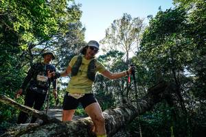 BIB: 
                            <button type="button" onclick="openModal(26728929)" class="btn btn-primary btn-sm float-right btn-popup" data-toggle="modal" data-target=".modal-high-quality">
                        <i class="fas fa-shopping-cart"></i> Add to Cart
                    </button>
                                            <button type="button" onclick="isThisMe(26728929, true)" class="btn btn-success btn-sm float-right btn-popup btn-isme hidden" data-toggle="tooltip" data-placement="bottom" title="นี่คือรูปของคุณใช่ไหม คลิกที่นี่เพื่อเอาเข้าอัลบั้ม">
                        <i class="fas fa-plus"></i> Add to album
                    </button>
                    <button type="button" onclick="isThisMe(26728929, false)" class="btn btn-warning btn-sm float-right btn-popup btn-isnotme hidden">
                        <i class="fas fa-ban"></i> Remove from album
                    </button>