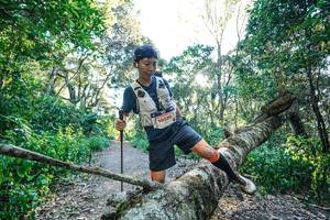 BIB: 
                            <button type="button" onclick="openModal(26729631)" class="btn btn-primary btn-sm float-right btn-popup" data-toggle="modal" data-target=".modal-high-quality">
                        <i class="fas fa-shopping-cart"></i> Add to Cart
                    </button>
                                            <button type="button" onclick="isThisMe(26729631, true)" class="btn btn-success btn-sm float-right btn-popup btn-isme hidden" data-toggle="tooltip" data-placement="bottom" title="นี่คือรูปของคุณใช่ไหม คลิกที่นี่เพื่อเอาเข้าอัลบั้ม">
                        <i class="fas fa-plus"></i> Add to album
                    </button>
                    <button type="button" onclick="isThisMe(26729631, false)" class="btn btn-warning btn-sm float-right btn-popup btn-isnotme hidden">
                        <i class="fas fa-ban"></i> Remove from album
                    </button>