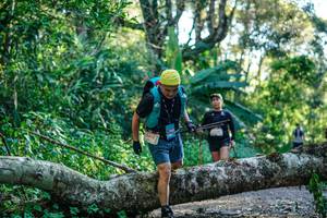 BIB: 
                            <button type="button" onclick="openModal(26711998)" class="btn btn-primary btn-sm float-right btn-popup" data-toggle="modal" data-target=".modal-high-quality">
                        <i class="fas fa-shopping-cart"></i> Add to Cart
                    </button>
                                            <button type="button" onclick="isThisMe(26711998, true)" class="btn btn-success btn-sm float-right btn-popup btn-isme hidden" data-toggle="tooltip" data-placement="bottom" title="นี่คือรูปของคุณใช่ไหม คลิกที่นี่เพื่อเอาเข้าอัลบั้ม">
                        <i class="fas fa-plus"></i> Add to album
                    </button>
                    <button type="button" onclick="isThisMe(26711998, false)" class="btn btn-warning btn-sm float-right btn-popup btn-isnotme hidden">
                        <i class="fas fa-ban"></i> Remove from album
                    </button>