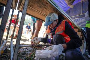 BIB: 
                            <button type="button" onclick="openModal(26727492)" class="btn btn-primary btn-sm float-right btn-popup" data-toggle="modal" data-target=".modal-high-quality">
                        <i class="fas fa-shopping-cart"></i> Add to Cart
                    </button>
                                            <button type="button" onclick="isThisMe(26727492, true)" class="btn btn-success btn-sm float-right btn-popup btn-isme hidden" data-toggle="tooltip" data-placement="bottom" title="นี่คือรูปของคุณใช่ไหม คลิกที่นี่เพื่อเอาเข้าอัลบั้ม">
                        <i class="fas fa-plus"></i> Add to album
                    </button>
                    <button type="button" onclick="isThisMe(26727492, false)" class="btn btn-warning btn-sm float-right btn-popup btn-isnotme hidden">
                        <i class="fas fa-ban"></i> Remove from album
                    </button>