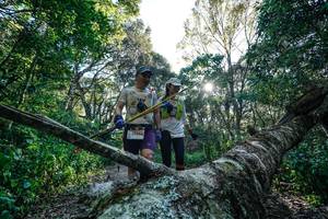 BIB: 
                            <button type="button" onclick="openModal(26729470)" class="btn btn-primary btn-sm float-right btn-popup" data-toggle="modal" data-target=".modal-high-quality">
                        <i class="fas fa-shopping-cart"></i> Add to Cart
                    </button>
                                            <button type="button" onclick="isThisMe(26729470, true)" class="btn btn-success btn-sm float-right btn-popup btn-isme hidden" data-toggle="tooltip" data-placement="bottom" title="นี่คือรูปของคุณใช่ไหม คลิกที่นี่เพื่อเอาเข้าอัลบั้ม">
                        <i class="fas fa-plus"></i> Add to album
                    </button>
                    <button type="button" onclick="isThisMe(26729470, false)" class="btn btn-warning btn-sm float-right btn-popup btn-isnotme hidden">
                        <i class="fas fa-ban"></i> Remove from album
                    </button>