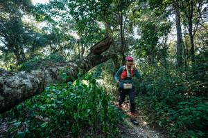 BIB: 
                            <button type="button" onclick="openModal(26729797)" class="btn btn-primary btn-sm float-right btn-popup" data-toggle="modal" data-target=".modal-high-quality">
                        <i class="fas fa-shopping-cart"></i> Add to Cart
                    </button>
                                            <button type="button" onclick="isThisMe(26729797, true)" class="btn btn-success btn-sm float-right btn-popup btn-isme hidden" data-toggle="tooltip" data-placement="bottom" title="นี่คือรูปของคุณใช่ไหม คลิกที่นี่เพื่อเอาเข้าอัลบั้ม">
                        <i class="fas fa-plus"></i> Add to album
                    </button>
                    <button type="button" onclick="isThisMe(26729797, false)" class="btn btn-warning btn-sm float-right btn-popup btn-isnotme hidden">
                        <i class="fas fa-ban"></i> Remove from album
                    </button>