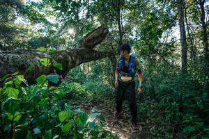 BIB: 
                            <button type="button" onclick="openModal(26729349)" class="btn btn-primary btn-sm float-right btn-popup" data-toggle="modal" data-target=".modal-high-quality">
                        <i class="fas fa-shopping-cart"></i> Add to Cart
                    </button>
                                            <button type="button" onclick="isThisMe(26729349, true)" class="btn btn-success btn-sm float-right btn-popup btn-isme hidden" data-toggle="tooltip" data-placement="bottom" title="นี่คือรูปของคุณใช่ไหม คลิกที่นี่เพื่อเอาเข้าอัลบั้ม">
                        <i class="fas fa-plus"></i> Add to album
                    </button>
                    <button type="button" onclick="isThisMe(26729349, false)" class="btn btn-warning btn-sm float-right btn-popup btn-isnotme hidden">
                        <i class="fas fa-ban"></i> Remove from album
                    </button>