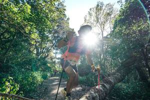 BIB: 
                            <button type="button" onclick="openModal(26729167)" class="btn btn-primary btn-sm float-right btn-popup" data-toggle="modal" data-target=".modal-high-quality">
                        <i class="fas fa-shopping-cart"></i> Add to Cart
                    </button>
                                            <button type="button" onclick="isThisMe(26729167, true)" class="btn btn-success btn-sm float-right btn-popup btn-isme hidden" data-toggle="tooltip" data-placement="bottom" title="นี่คือรูปของคุณใช่ไหม คลิกที่นี่เพื่อเอาเข้าอัลบั้ม">
                        <i class="fas fa-plus"></i> Add to album
                    </button>
                    <button type="button" onclick="isThisMe(26729167, false)" class="btn btn-warning btn-sm float-right btn-popup btn-isnotme hidden">
                        <i class="fas fa-ban"></i> Remove from album
                    </button>