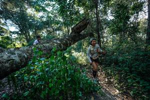 BIB: 
                            <button type="button" onclick="openModal(26729876)" class="btn btn-primary btn-sm float-right btn-popup" data-toggle="modal" data-target=".modal-high-quality">
                        <i class="fas fa-shopping-cart"></i> Add to Cart
                    </button>
                                            <button type="button" onclick="isThisMe(26729876, true)" class="btn btn-success btn-sm float-right btn-popup btn-isme hidden" data-toggle="tooltip" data-placement="bottom" title="นี่คือรูปของคุณใช่ไหม คลิกที่นี่เพื่อเอาเข้าอัลบั้ม">
                        <i class="fas fa-plus"></i> Add to album
                    </button>
                    <button type="button" onclick="isThisMe(26729876, false)" class="btn btn-warning btn-sm float-right btn-popup btn-isnotme hidden">
                        <i class="fas fa-ban"></i> Remove from album
                    </button>