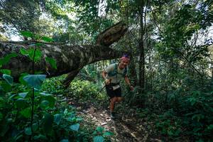 BIB: 
                            <button type="button" onclick="openModal(26729279)" class="btn btn-primary btn-sm float-right btn-popup" data-toggle="modal" data-target=".modal-high-quality">
                        <i class="fas fa-shopping-cart"></i> Add to Cart
                    </button>
                                            <button type="button" onclick="isThisMe(26729279, true)" class="btn btn-success btn-sm float-right btn-popup btn-isme hidden" data-toggle="tooltip" data-placement="bottom" title="นี่คือรูปของคุณใช่ไหม คลิกที่นี่เพื่อเอาเข้าอัลบั้ม">
                        <i class="fas fa-plus"></i> Add to album
                    </button>
                    <button type="button" onclick="isThisMe(26729279, false)" class="btn btn-warning btn-sm float-right btn-popup btn-isnotme hidden">
                        <i class="fas fa-ban"></i> Remove from album
                    </button>