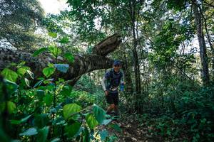 BIB: 
                            <button type="button" onclick="openModal(26729392)" class="btn btn-primary btn-sm float-right btn-popup" data-toggle="modal" data-target=".modal-high-quality">
                        <i class="fas fa-shopping-cart"></i> Add to Cart
                    </button>
                                            <button type="button" onclick="isThisMe(26729392, true)" class="btn btn-success btn-sm float-right btn-popup btn-isme hidden" data-toggle="tooltip" data-placement="bottom" title="นี่คือรูปของคุณใช่ไหม คลิกที่นี่เพื่อเอาเข้าอัลบั้ม">
                        <i class="fas fa-plus"></i> Add to album
                    </button>
                    <button type="button" onclick="isThisMe(26729392, false)" class="btn btn-warning btn-sm float-right btn-popup btn-isnotme hidden">
                        <i class="fas fa-ban"></i> Remove from album
                    </button>