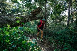 BIB: 
                            <button type="button" onclick="openModal(26729370)" class="btn btn-primary btn-sm float-right btn-popup" data-toggle="modal" data-target=".modal-high-quality">
                        <i class="fas fa-shopping-cart"></i> Add to Cart
                    </button>
                                            <button type="button" onclick="isThisMe(26729370, true)" class="btn btn-success btn-sm float-right btn-popup btn-isme hidden" data-toggle="tooltip" data-placement="bottom" title="นี่คือรูปของคุณใช่ไหม คลิกที่นี่เพื่อเอาเข้าอัลบั้ม">
                        <i class="fas fa-plus"></i> Add to album
                    </button>
                    <button type="button" onclick="isThisMe(26729370, false)" class="btn btn-warning btn-sm float-right btn-popup btn-isnotme hidden">
                        <i class="fas fa-ban"></i> Remove from album
                    </button>