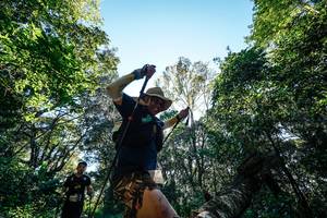 BIB: 
                            <button type="button" onclick="openModal(26728973)" class="btn btn-primary btn-sm float-right btn-popup" data-toggle="modal" data-target=".modal-high-quality">
                        <i class="fas fa-shopping-cart"></i> Add to Cart
                    </button>
                                            <button type="button" onclick="isThisMe(26728973, true)" class="btn btn-success btn-sm float-right btn-popup btn-isme hidden" data-toggle="tooltip" data-placement="bottom" title="นี่คือรูปของคุณใช่ไหม คลิกที่นี่เพื่อเอาเข้าอัลบั้ม">
                        <i class="fas fa-plus"></i> Add to album
                    </button>
                    <button type="button" onclick="isThisMe(26728973, false)" class="btn btn-warning btn-sm float-right btn-popup btn-isnotme hidden">
                        <i class="fas fa-ban"></i> Remove from album
                    </button>