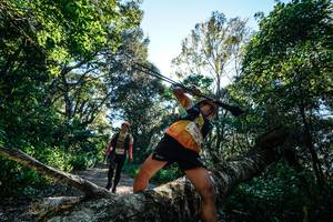 BIB: 
                            <button type="button" onclick="openModal(26728830)" class="btn btn-primary btn-sm float-right btn-popup" data-toggle="modal" data-target=".modal-high-quality">
                        <i class="fas fa-shopping-cart"></i> Add to Cart
                    </button>
                                            <button type="button" onclick="isThisMe(26728830, true)" class="btn btn-success btn-sm float-right btn-popup btn-isme hidden" data-toggle="tooltip" data-placement="bottom" title="นี่คือรูปของคุณใช่ไหม คลิกที่นี่เพื่อเอาเข้าอัลบั้ม">
                        <i class="fas fa-plus"></i> Add to album
                    </button>
                    <button type="button" onclick="isThisMe(26728830, false)" class="btn btn-warning btn-sm float-right btn-popup btn-isnotme hidden">
                        <i class="fas fa-ban"></i> Remove from album
                    </button>