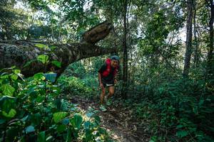 BIB: 
                            <button type="button" onclick="openModal(26729368)" class="btn btn-primary btn-sm float-right btn-popup" data-toggle="modal" data-target=".modal-high-quality">
                        <i class="fas fa-shopping-cart"></i> Add to Cart
                    </button>
                                            <button type="button" onclick="isThisMe(26729368, true)" class="btn btn-success btn-sm float-right btn-popup btn-isme hidden" data-toggle="tooltip" data-placement="bottom" title="นี่คือรูปของคุณใช่ไหม คลิกที่นี่เพื่อเอาเข้าอัลบั้ม">
                        <i class="fas fa-plus"></i> Add to album
                    </button>
                    <button type="button" onclick="isThisMe(26729368, false)" class="btn btn-warning btn-sm float-right btn-popup btn-isnotme hidden">
                        <i class="fas fa-ban"></i> Remove from album
                    </button>