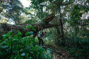 BIB: 
                            <button type="button" onclick="openModal(26729304)" class="btn btn-primary btn-sm float-right btn-popup" data-toggle="modal" data-target=".modal-high-quality">
                        <i class="fas fa-shopping-cart"></i> Add to Cart
                    </button>
                                            <button type="button" onclick="isThisMe(26729304, true)" class="btn btn-success btn-sm float-right btn-popup btn-isme hidden" data-toggle="tooltip" data-placement="bottom" title="นี่คือรูปของคุณใช่ไหม คลิกที่นี่เพื่อเอาเข้าอัลบั้ม">
                        <i class="fas fa-plus"></i> Add to album
                    </button>
                    <button type="button" onclick="isThisMe(26729304, false)" class="btn btn-warning btn-sm float-right btn-popup btn-isnotme hidden">
                        <i class="fas fa-ban"></i> Remove from album
                    </button>