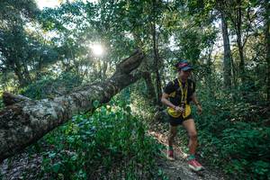 BIB: 
                            <button type="button" onclick="openModal(26729816)" class="btn btn-primary btn-sm float-right btn-popup" data-toggle="modal" data-target=".modal-high-quality">
                        <i class="fas fa-shopping-cart"></i> Add to Cart
                    </button>
                                            <button type="button" onclick="isThisMe(26729816, true)" class="btn btn-success btn-sm float-right btn-popup btn-isme hidden" data-toggle="tooltip" data-placement="bottom" title="นี่คือรูปของคุณใช่ไหม คลิกที่นี่เพื่อเอาเข้าอัลบั้ม">
                        <i class="fas fa-plus"></i> Add to album
                    </button>
                    <button type="button" onclick="isThisMe(26729816, false)" class="btn btn-warning btn-sm float-right btn-popup btn-isnotme hidden">
                        <i class="fas fa-ban"></i> Remove from album
                    </button>