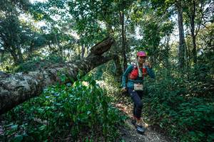 BIB: 
                            <button type="button" onclick="openModal(26729800)" class="btn btn-primary btn-sm float-right btn-popup" data-toggle="modal" data-target=".modal-high-quality">
                        <i class="fas fa-shopping-cart"></i> Add to Cart
                    </button>
                                            <button type="button" onclick="isThisMe(26729800, true)" class="btn btn-success btn-sm float-right btn-popup btn-isme hidden" data-toggle="tooltip" data-placement="bottom" title="นี่คือรูปของคุณใช่ไหม คลิกที่นี่เพื่อเอาเข้าอัลบั้ม">
                        <i class="fas fa-plus"></i> Add to album
                    </button>
                    <button type="button" onclick="isThisMe(26729800, false)" class="btn btn-warning btn-sm float-right btn-popup btn-isnotme hidden">
                        <i class="fas fa-ban"></i> Remove from album
                    </button>