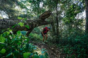 BIB: 
                            <button type="button" onclick="openModal(26729361)" class="btn btn-primary btn-sm float-right btn-popup" data-toggle="modal" data-target=".modal-high-quality">
                        <i class="fas fa-shopping-cart"></i> Add to Cart
                    </button>
                                            <button type="button" onclick="isThisMe(26729361, true)" class="btn btn-success btn-sm float-right btn-popup btn-isme hidden" data-toggle="tooltip" data-placement="bottom" title="นี่คือรูปของคุณใช่ไหม คลิกที่นี่เพื่อเอาเข้าอัลบั้ม">
                        <i class="fas fa-plus"></i> Add to album
                    </button>
                    <button type="button" onclick="isThisMe(26729361, false)" class="btn btn-warning btn-sm float-right btn-popup btn-isnotme hidden">
                        <i class="fas fa-ban"></i> Remove from album
                    </button>