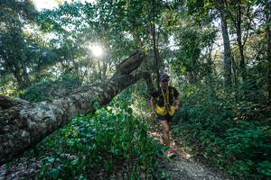 BIB: 
                            <button type="button" onclick="openModal(26729812)" class="btn btn-primary btn-sm float-right btn-popup" data-toggle="modal" data-target=".modal-high-quality">
                        <i class="fas fa-shopping-cart"></i> Add to Cart
                    </button>
                                            <button type="button" onclick="isThisMe(26729812, true)" class="btn btn-success btn-sm float-right btn-popup btn-isme hidden" data-toggle="tooltip" data-placement="bottom" title="นี่คือรูปของคุณใช่ไหม คลิกที่นี่เพื่อเอาเข้าอัลบั้ม">
                        <i class="fas fa-plus"></i> Add to album
                    </button>
                    <button type="button" onclick="isThisMe(26729812, false)" class="btn btn-warning btn-sm float-right btn-popup btn-isnotme hidden">
                        <i class="fas fa-ban"></i> Remove from album
                    </button>