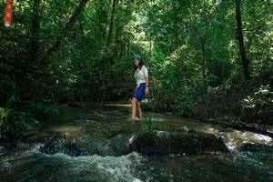 BIB: 
                            <button type="button" onclick="openModal(26778495)" class="btn btn-primary btn-sm float-right btn-popup" data-toggle="modal" data-target=".modal-high-quality">
                        <i class="fas fa-shopping-cart"></i> Add to Cart
                    </button>
                                            <button type="button" onclick="isThisMe(26778495, true)" class="btn btn-success btn-sm float-right btn-popup btn-isme hidden" data-toggle="tooltip" data-placement="bottom" title="นี่คือรูปของคุณใช่ไหม คลิกที่นี่เพื่อเอาเข้าอัลบั้ม">
                        <i class="fas fa-plus"></i> Add to album
                    </button>
                    <button type="button" onclick="isThisMe(26778495, false)" class="btn btn-warning btn-sm float-right btn-popup btn-isnotme hidden">
                        <i class="fas fa-ban"></i> Remove from album
                    </button>