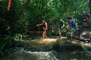 BIB: 
                            <button type="button" onclick="openModal(26781992)" class="btn btn-primary btn-sm float-right btn-popup" data-toggle="modal" data-target=".modal-high-quality">
                        <i class="fas fa-shopping-cart"></i> Add to Cart
                    </button>
                                            <button type="button" onclick="isThisMe(26781992, true)" class="btn btn-success btn-sm float-right btn-popup btn-isme hidden" data-toggle="tooltip" data-placement="bottom" title="นี่คือรูปของคุณใช่ไหม คลิกที่นี่เพื่อเอาเข้าอัลบั้ม">
                        <i class="fas fa-plus"></i> Add to album
                    </button>
                    <button type="button" onclick="isThisMe(26781992, false)" class="btn btn-warning btn-sm float-right btn-popup btn-isnotme hidden">
                        <i class="fas fa-ban"></i> Remove from album
                    </button>