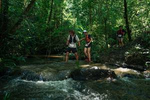 BIB: 
                            <button type="button" onclick="openModal(26778868)" class="btn btn-primary btn-sm float-right btn-popup" data-toggle="modal" data-target=".modal-high-quality">
                        <i class="fas fa-shopping-cart"></i> Add to Cart
                    </button>
                                            <button type="button" onclick="isThisMe(26778868, true)" class="btn btn-success btn-sm float-right btn-popup btn-isme hidden" data-toggle="tooltip" data-placement="bottom" title="นี่คือรูปของคุณใช่ไหม คลิกที่นี่เพื่อเอาเข้าอัลบั้ม">
                        <i class="fas fa-plus"></i> Add to album
                    </button>
                    <button type="button" onclick="isThisMe(26778868, false)" class="btn btn-warning btn-sm float-right btn-popup btn-isnotme hidden">
                        <i class="fas fa-ban"></i> Remove from album
                    </button>