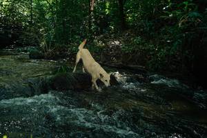 BIB: 
                            <button type="button" onclick="openModal(26667488)" class="btn btn-primary btn-sm float-right btn-popup" data-toggle="modal" data-target=".modal-high-quality">
                        <i class="fas fa-shopping-cart"></i> Add to Cart
                    </button>
                                            <button type="button" onclick="isThisMe(26667488, true)" class="btn btn-success btn-sm float-right btn-popup btn-isme hidden" data-toggle="tooltip" data-placement="bottom" title="นี่คือรูปของคุณใช่ไหม คลิกที่นี่เพื่อเอาเข้าอัลบั้ม">
                        <i class="fas fa-plus"></i> Add to album
                    </button>
                    <button type="button" onclick="isThisMe(26667488, false)" class="btn btn-warning btn-sm float-right btn-popup btn-isnotme hidden">
                        <i class="fas fa-ban"></i> Remove from album
                    </button>