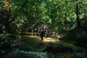 BIB: 
                            <button type="button" onclick="openModal(26784030)" class="btn btn-primary btn-sm float-right btn-popup" data-toggle="modal" data-target=".modal-high-quality">
                        <i class="fas fa-shopping-cart"></i> Add to Cart
                    </button>
                                            <button type="button" onclick="isThisMe(26784030, true)" class="btn btn-success btn-sm float-right btn-popup btn-isme hidden" data-toggle="tooltip" data-placement="bottom" title="นี่คือรูปของคุณใช่ไหม คลิกที่นี่เพื่อเอาเข้าอัลบั้ม">
                        <i class="fas fa-plus"></i> Add to album
                    </button>
                    <button type="button" onclick="isThisMe(26784030, false)" class="btn btn-warning btn-sm float-right btn-popup btn-isnotme hidden">
                        <i class="fas fa-ban"></i> Remove from album
                    </button>