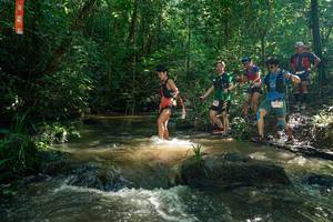 BIB: 
                            <button type="button" onclick="openModal(26781985)" class="btn btn-primary btn-sm float-right btn-popup" data-toggle="modal" data-target=".modal-high-quality">
                        <i class="fas fa-shopping-cart"></i> Add to Cart
                    </button>
                                            <button type="button" onclick="isThisMe(26781985, true)" class="btn btn-success btn-sm float-right btn-popup btn-isme hidden" data-toggle="tooltip" data-placement="bottom" title="นี่คือรูปของคุณใช่ไหม คลิกที่นี่เพื่อเอาเข้าอัลบั้ม">
                        <i class="fas fa-plus"></i> Add to album
                    </button>
                    <button type="button" onclick="isThisMe(26781985, false)" class="btn btn-warning btn-sm float-right btn-popup btn-isnotme hidden">
                        <i class="fas fa-ban"></i> Remove from album
                    </button>