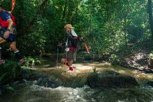 BIB: 
                            <button type="button" onclick="openModal(26782046)" class="btn btn-primary btn-sm float-right btn-popup" data-toggle="modal" data-target=".modal-high-quality">
                        <i class="fas fa-shopping-cart"></i> Add to Cart
                    </button>
                                            <button type="button" onclick="isThisMe(26782046, true)" class="btn btn-success btn-sm float-right btn-popup btn-isme hidden" data-toggle="tooltip" data-placement="bottom" title="นี่คือรูปของคุณใช่ไหม คลิกที่นี่เพื่อเอาเข้าอัลบั้ม">
                        <i class="fas fa-plus"></i> Add to album
                    </button>
                    <button type="button" onclick="isThisMe(26782046, false)" class="btn btn-warning btn-sm float-right btn-popup btn-isnotme hidden">
                        <i class="fas fa-ban"></i> Remove from album
                    </button>