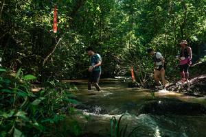 BIB: 
                            <button type="button" onclick="openModal(26783754)" class="btn btn-primary btn-sm float-right btn-popup" data-toggle="modal" data-target=".modal-high-quality">
                        <i class="fas fa-shopping-cart"></i> Add to Cart
                    </button>
                                            <button type="button" onclick="isThisMe(26783754, true)" class="btn btn-success btn-sm float-right btn-popup btn-isme hidden" data-toggle="tooltip" data-placement="bottom" title="นี่คือรูปของคุณใช่ไหม คลิกที่นี่เพื่อเอาเข้าอัลบั้ม">
                        <i class="fas fa-plus"></i> Add to album
                    </button>
                    <button type="button" onclick="isThisMe(26783754, false)" class="btn btn-warning btn-sm float-right btn-popup btn-isnotme hidden">
                        <i class="fas fa-ban"></i> Remove from album
                    </button>