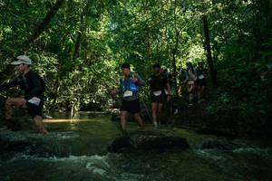 BIB: 
                            <button type="button" onclick="openModal(26784472)" class="btn btn-primary btn-sm float-right btn-popup" data-toggle="modal" data-target=".modal-high-quality">
                        <i class="fas fa-shopping-cart"></i> Add to Cart
                    </button>
                                            <button type="button" onclick="isThisMe(26784472, true)" class="btn btn-success btn-sm float-right btn-popup btn-isme hidden" data-toggle="tooltip" data-placement="bottom" title="นี่คือรูปของคุณใช่ไหม คลิกที่นี่เพื่อเอาเข้าอัลบั้ม">
                        <i class="fas fa-plus"></i> Add to album
                    </button>
                    <button type="button" onclick="isThisMe(26784472, false)" class="btn btn-warning btn-sm float-right btn-popup btn-isnotme hidden">
                        <i class="fas fa-ban"></i> Remove from album
                    </button>