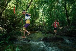 BIB: 
                            <button type="button" onclick="openModal(26777049)" class="btn btn-primary btn-sm float-right btn-popup" data-toggle="modal" data-target=".modal-high-quality">
                        <i class="fas fa-shopping-cart"></i> Add to Cart
                    </button>
                                            <button type="button" onclick="isThisMe(26777049, true)" class="btn btn-success btn-sm float-right btn-popup btn-isme hidden" data-toggle="tooltip" data-placement="bottom" title="นี่คือรูปของคุณใช่ไหม คลิกที่นี่เพื่อเอาเข้าอัลบั้ม">
                        <i class="fas fa-plus"></i> Add to album
                    </button>
                    <button type="button" onclick="isThisMe(26777049, false)" class="btn btn-warning btn-sm float-right btn-popup btn-isnotme hidden">
                        <i class="fas fa-ban"></i> Remove from album
                    </button>